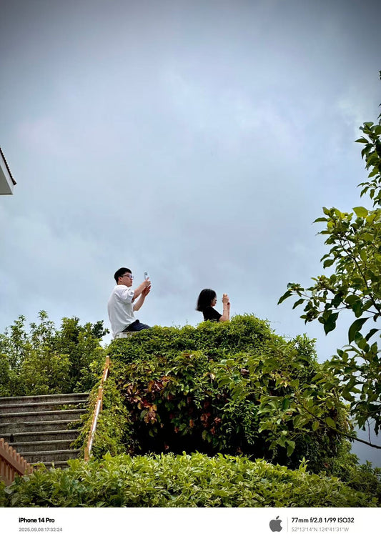 How to Choose Your First Film Camera: A Guide for Photography Lovers